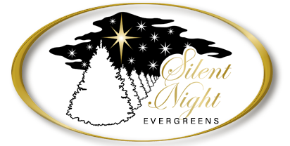silent  night logo